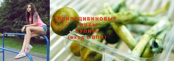 стаф Осташков