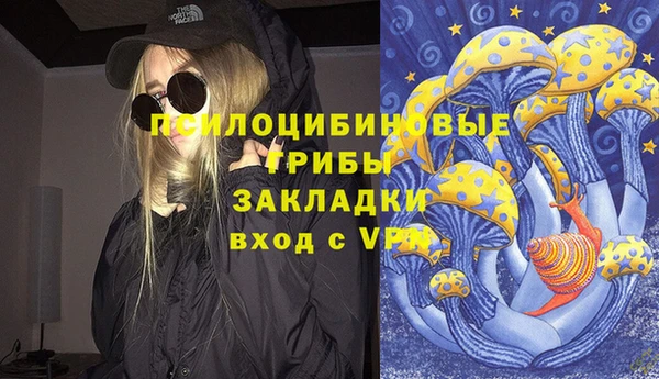 стаф Осташков