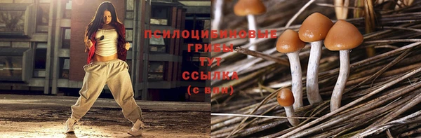 стаф Осташков